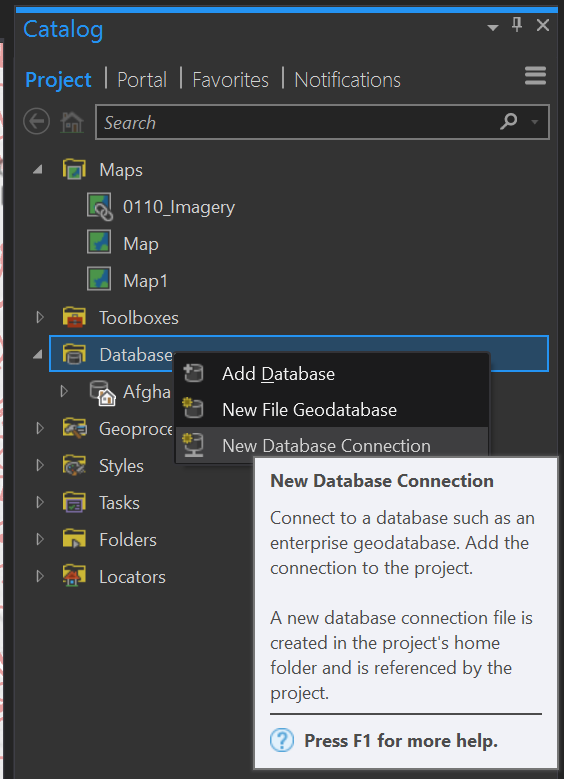Screenshot of the Catalog pane in ArcGIS Pro